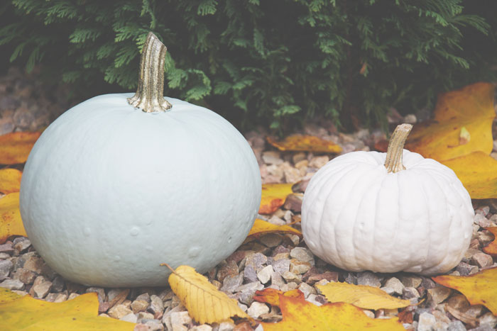 DIY: Painted Pumpkins